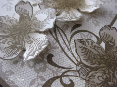 I Love Lace & Everything Eleanor