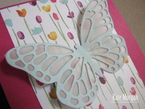 Butterfly Painted Blooms