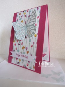 Butterfly Painted Blooms