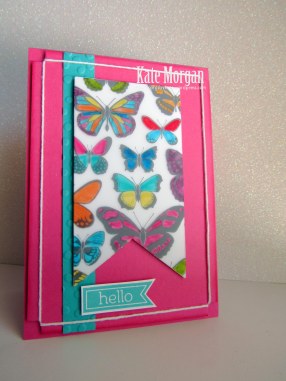 Sheer Perfection Vellum