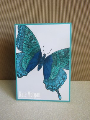 Swallowtail card #stampinup