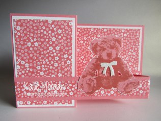 Baby Bear, Double Z fold Card #stampinup Cards by Kate @cardsbykate @cardsbykatemorgan DIY
