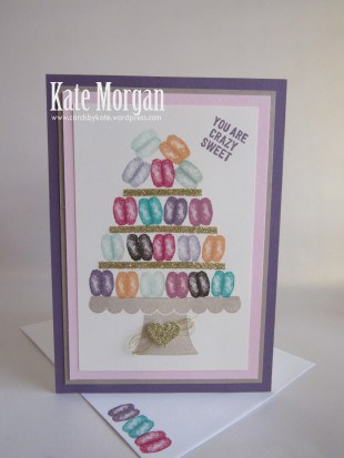 Macaron handmade card  Balloon Builders, #stampinup, DIY, @cardsbykate