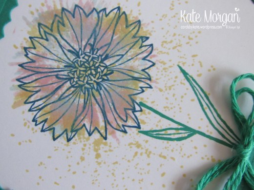 babywipe-technique-touches-of-texture-hello-glitter-feminine-handmade-card-stampinup-cardsbykatemorgan