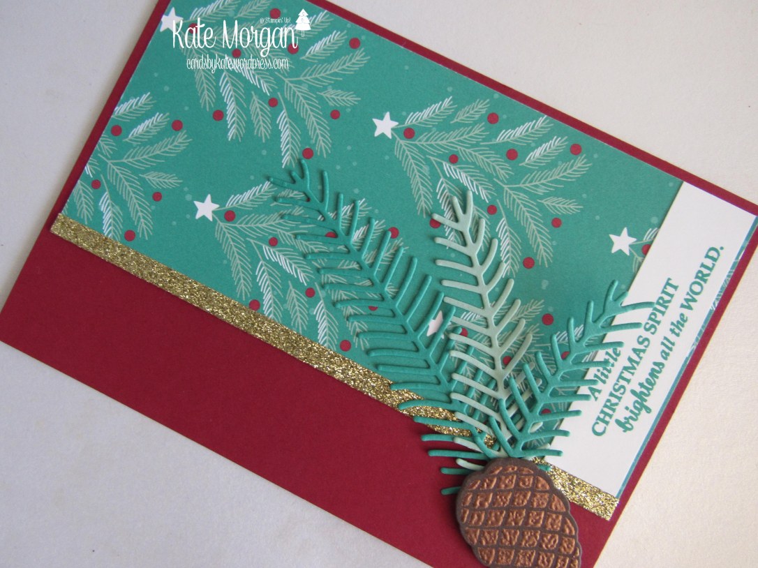 presents-pinecones-dsp-christmas-pines-diy-handmade-card-holiday-catalogue-2016-cards-by-kate-stampinup-cardsbykatemorgan