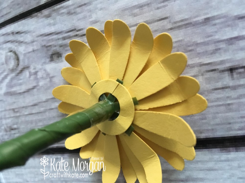 Daisy Delight by Kate Morgan, Independent Stampin Up Demonstrator, Rowville 3D back.JPG