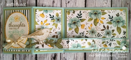 FREE Tutorial for Double Z Fold using Whole Lot of Lovely DSP &amp; Best Birds stamp set by Kate Morgan, Independent Demostrator, Australia. #Stampinup #makeacardsendacard Fancy Folds open