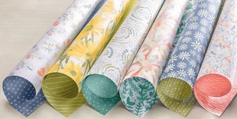 Delightful Daisy DSP