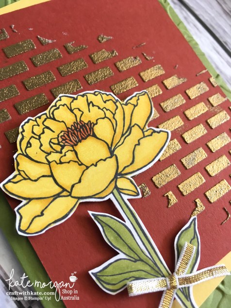 Blog Hop with Stampin Up Embossing Paste & You've Got This by Kate Morgan, Independent Demonstrator, Australia DIY Closeup