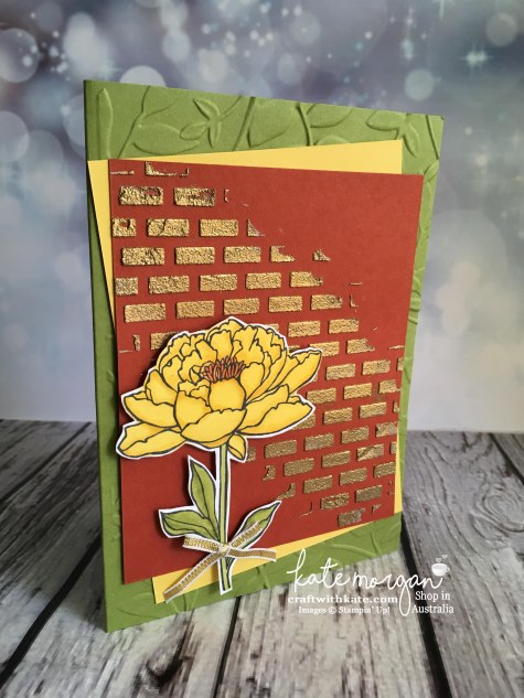 Blog Hop with Stampin Ups Embossing Paste & You've Got This by Kate Morgan, Independent Demonstrator, Australia DIY