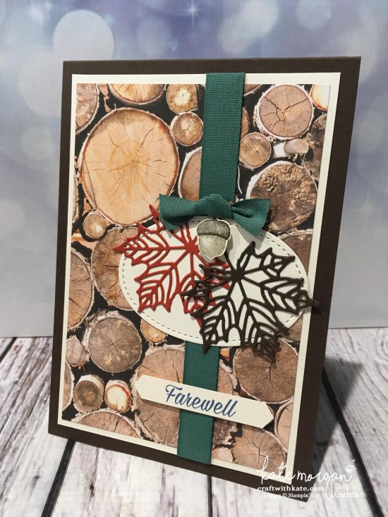 Seasonal Layers thinlits & Wood Textures DSP Masculine Farewell card