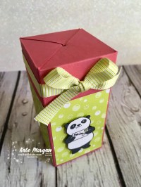 Impossible Gift Box using Stampin Up Party Pandas by Kate Morgan, Independent Demonstrator, Australia 3D DIY closed