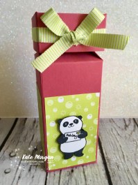 Impossible Gift Box using Stampin Up Party Pandas by Kate Morgan, Independent Demonstrator, Australia 3D DIY half open