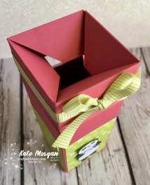 Impossible Gift Box using Stampin Up Party Pandas by Kate Morgan, Independent Demonstrator, Australia 3D DIY open
