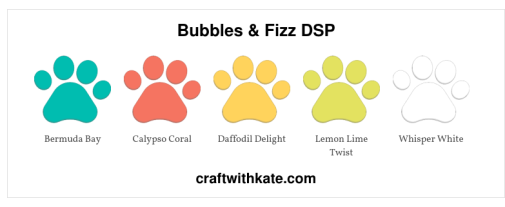 Bubbles & Fizz DSP.jpg