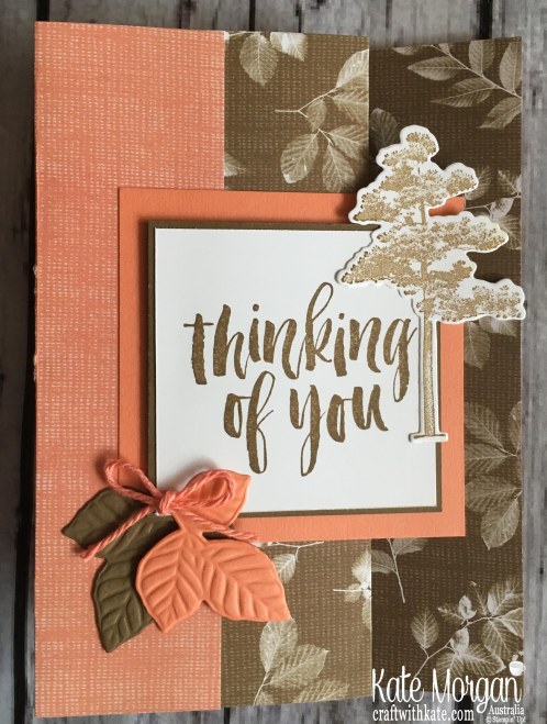 Fun Fold Nature's Poem DSP, Rooted in Nature Stampin Up Thinking of You Card by Kate Morgan, Australia 2018