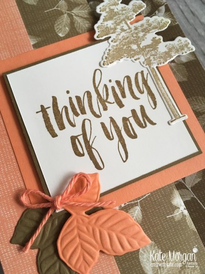 Fun Fold Nature's Poem DSP, Rooted in Nature Stampin Up Thinking of You Card by Kate Morgan, Australia, 2018.