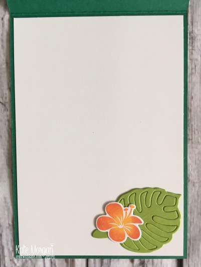 Colour Creations Blog Hop Granny Apple Green in Tropical Chic Stampin Up 2018 by Kate Morgan Australia inside