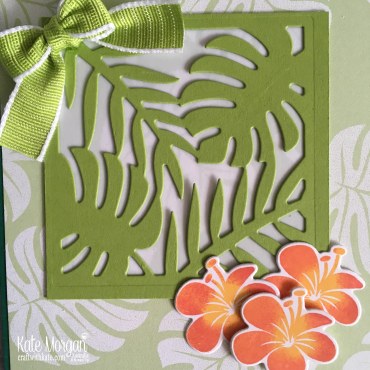 Colour Creations Blog Hop Granny Apple Green in Tropical Chic Stampin Up 2018 by Kate Morgan Australia