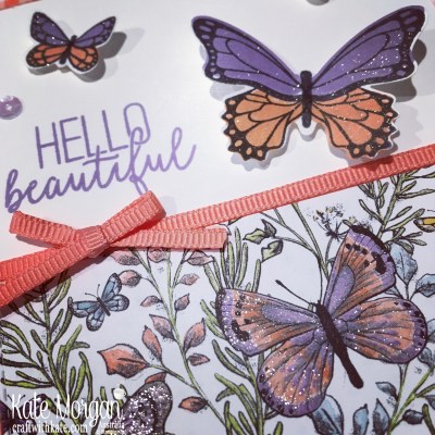Butterfly Gala & Gingham Gala DSP Stampin Up Occasions Saleabration by Kate Morgan, Australia, 2019.