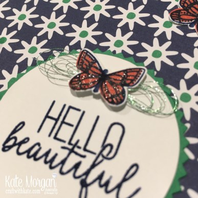 butterfly gala & happiness blooms stampin up occasions by kate morgan australia 2019.