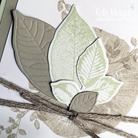 Thank you card with Stampin Up Rooted in Nature Bundle by Kate Morgan Australia 2019 Colour Creations Sahara Sand.JPG