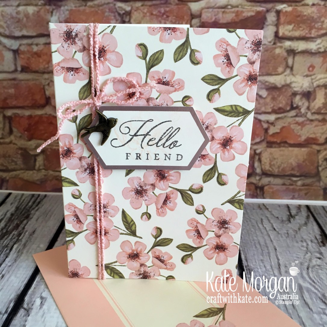 Paper Pumpkin Hugs from Shelli May 2019 by Kate Morgan Stampin Up Australia.