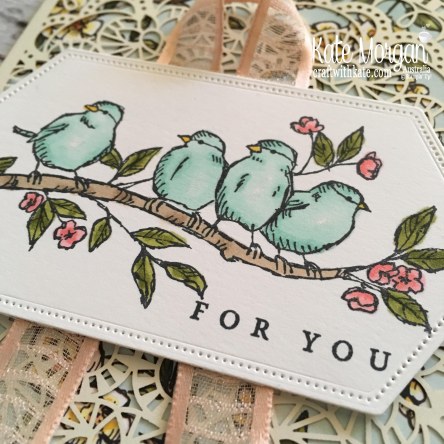 Bird Ballad Suite &amp; Laser Cut Tin Stampin Up Australia by Kate Morgan.