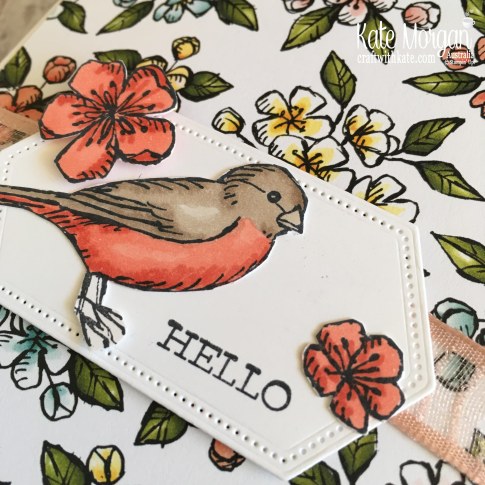Free as a Bird Bundle using Stampin Up Bird Ballad DSP by Kate Morgan, Australia, 2019 Handmade Fancy Fold Pop up Birthday Card.