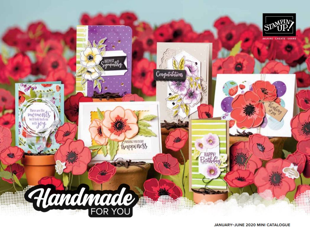 2020 Mini catalogue cover