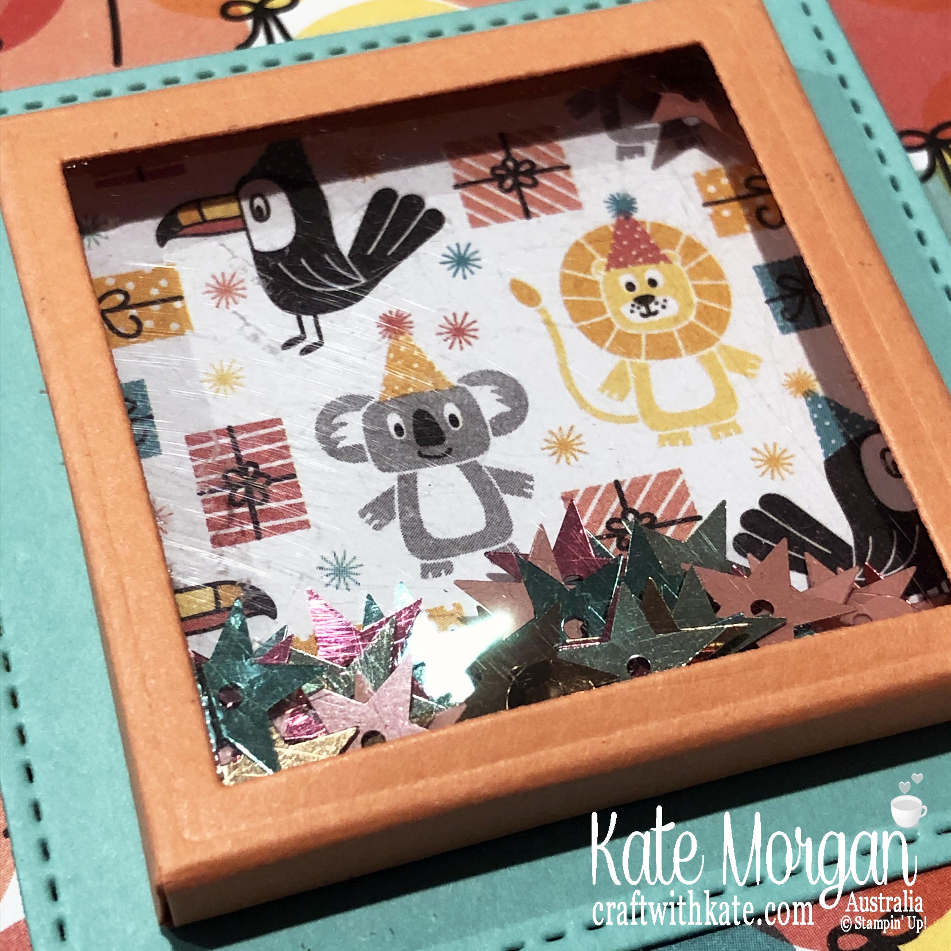 Shaker Card using Stampin Up Birthday Bonanza DSP & Birthday Goodness 2020 Mini by Kate Morgan, Australia closeup