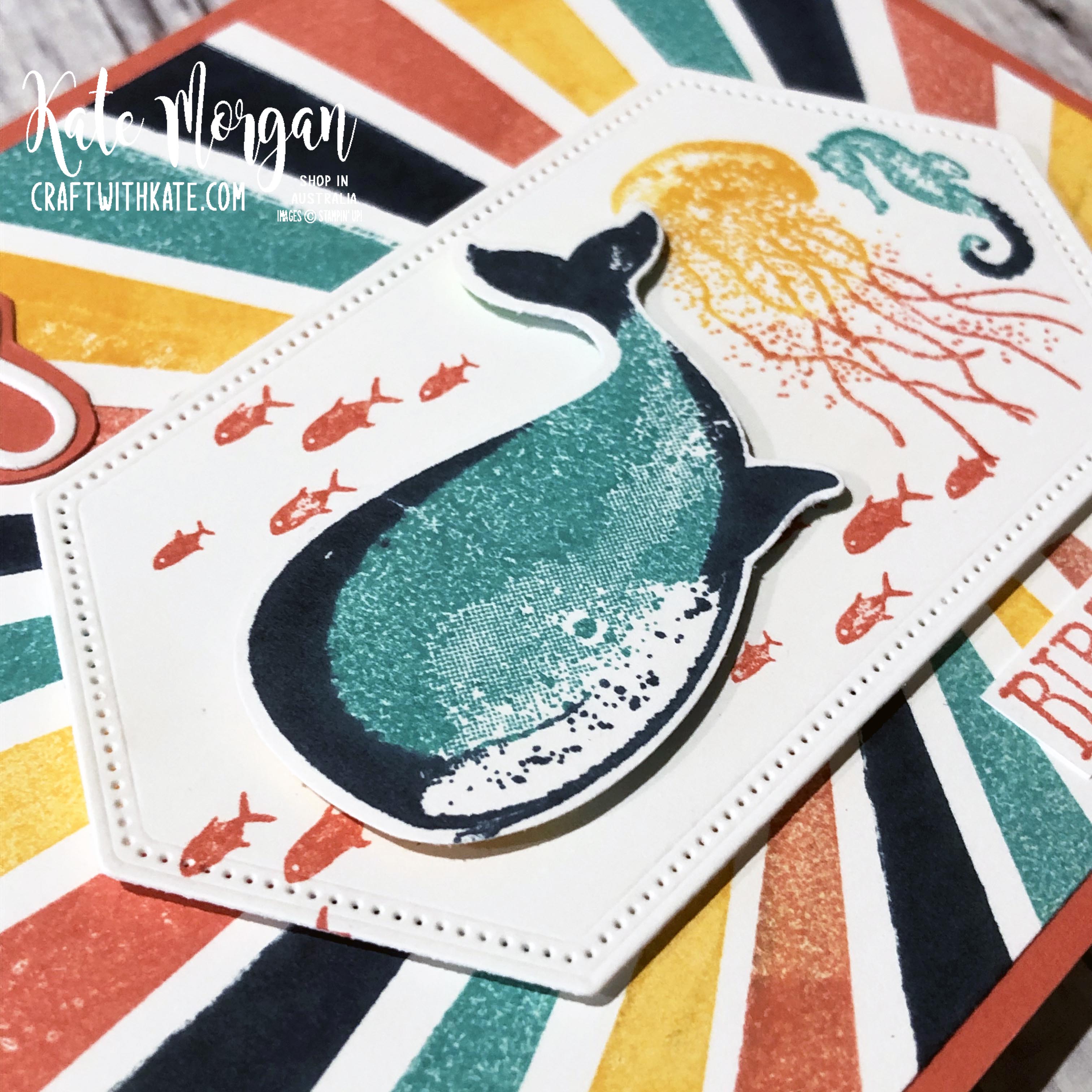 Calypso Coral CCS Card using Whale of a Time & High Tide stamps by Kate Morgan Stampin Up Australia 2020.