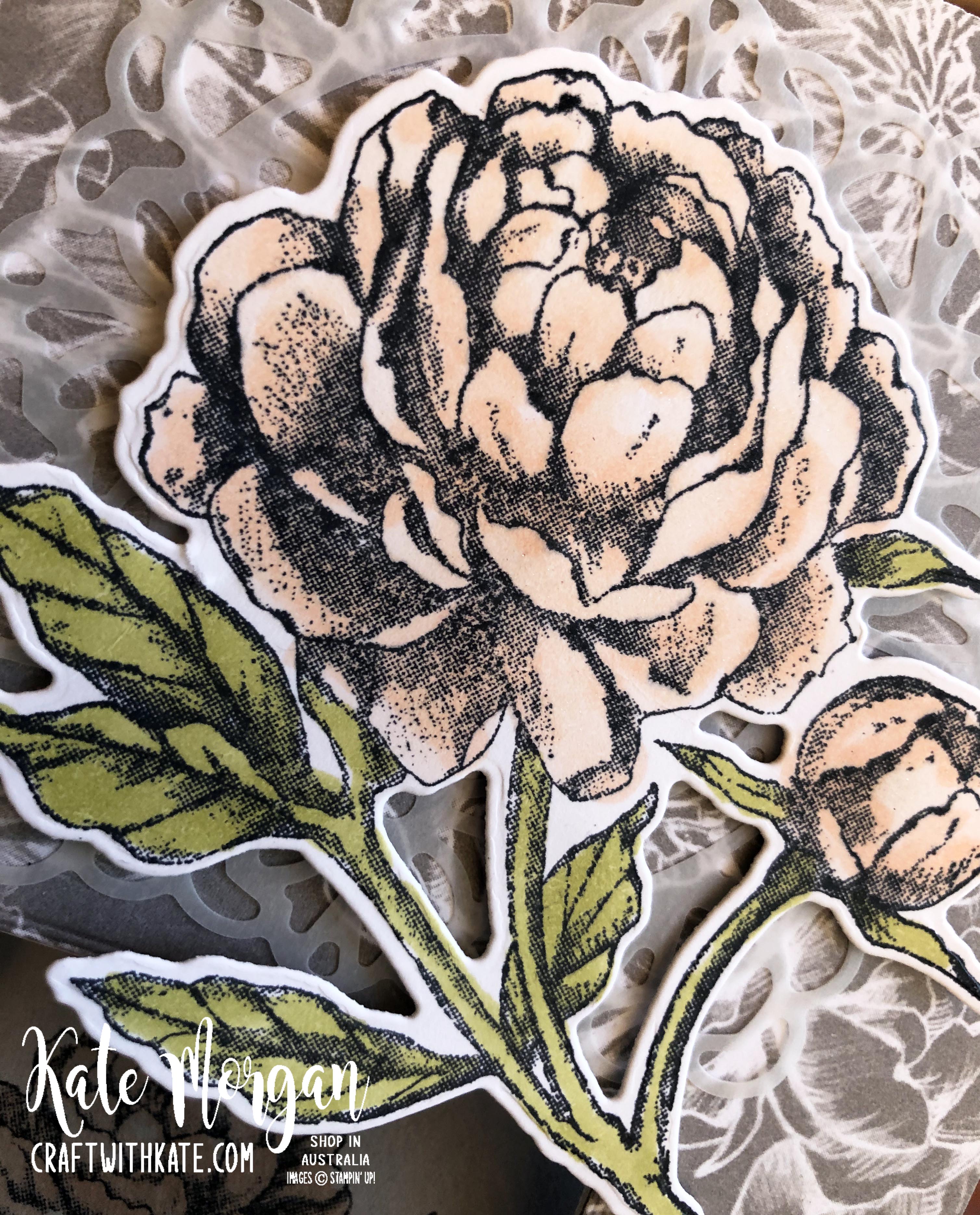 Peek a Boo Card using Stampin Up Prized Peony by Kate Morgan, Australia 2020 closeup
