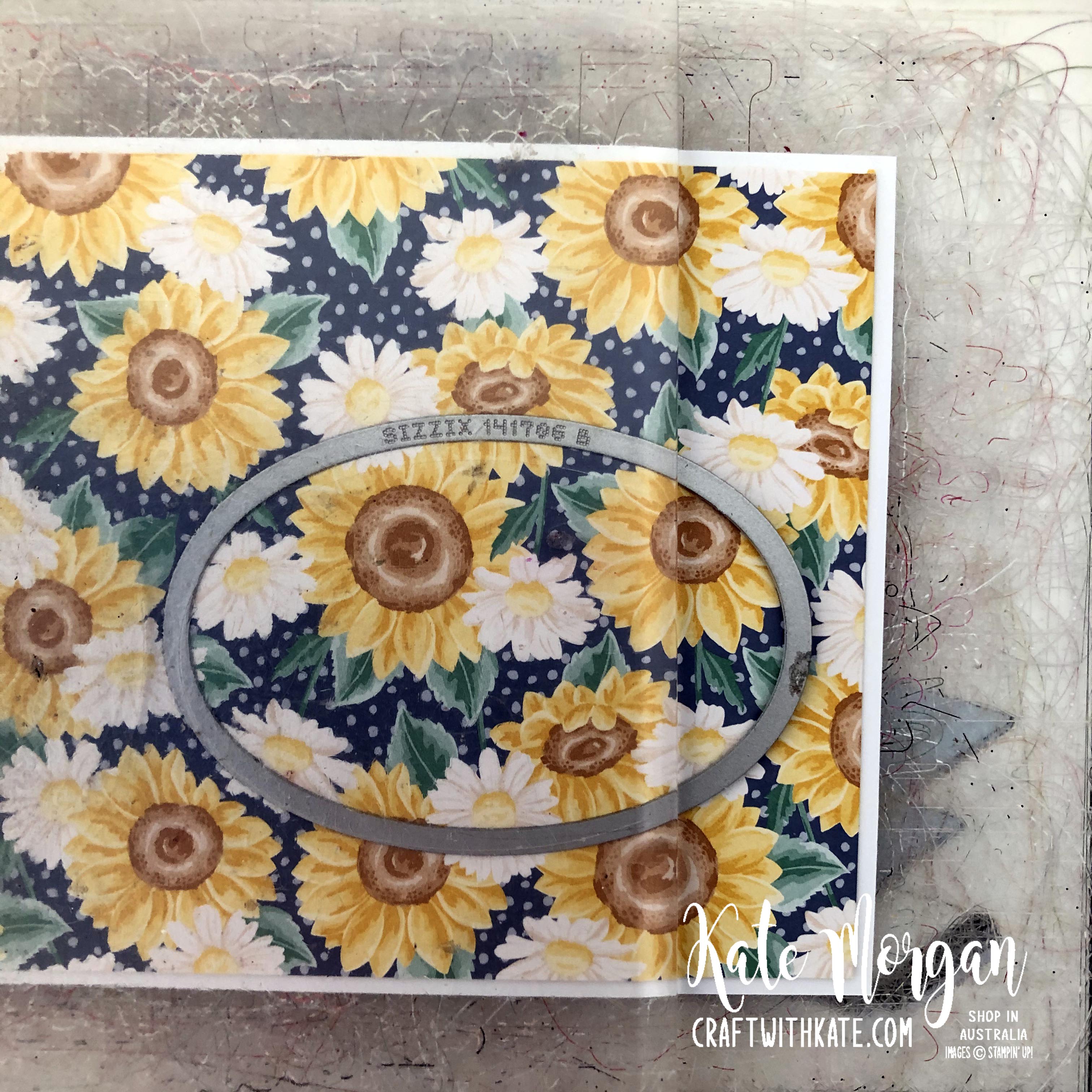 Peek a Boo Window 14th birthday card using Stampin Up Prized Peony by Kate Morgan, Australia 2020..