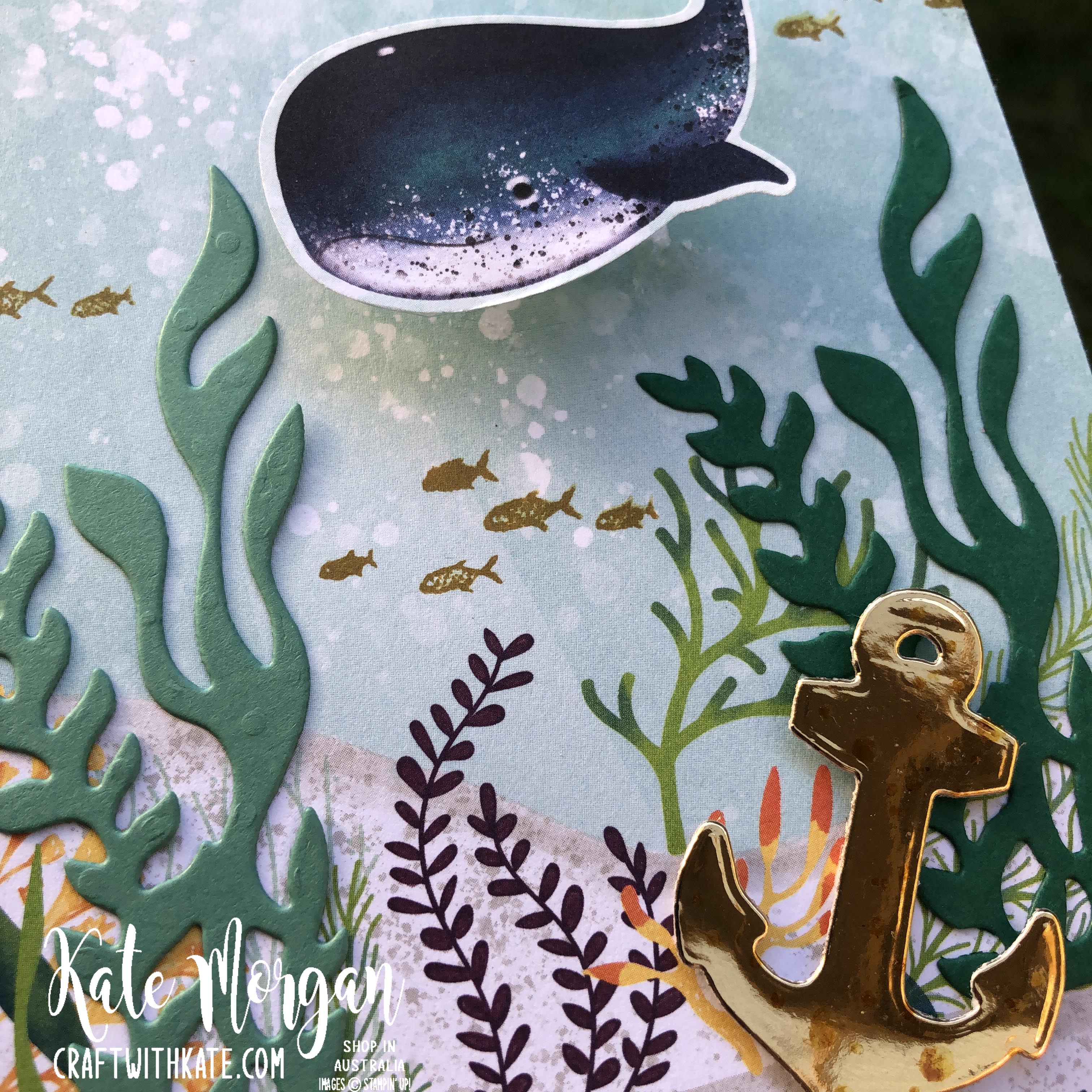 Whale Wobble card by Kate Morgan, Stampin Up Australia 2020 closeup