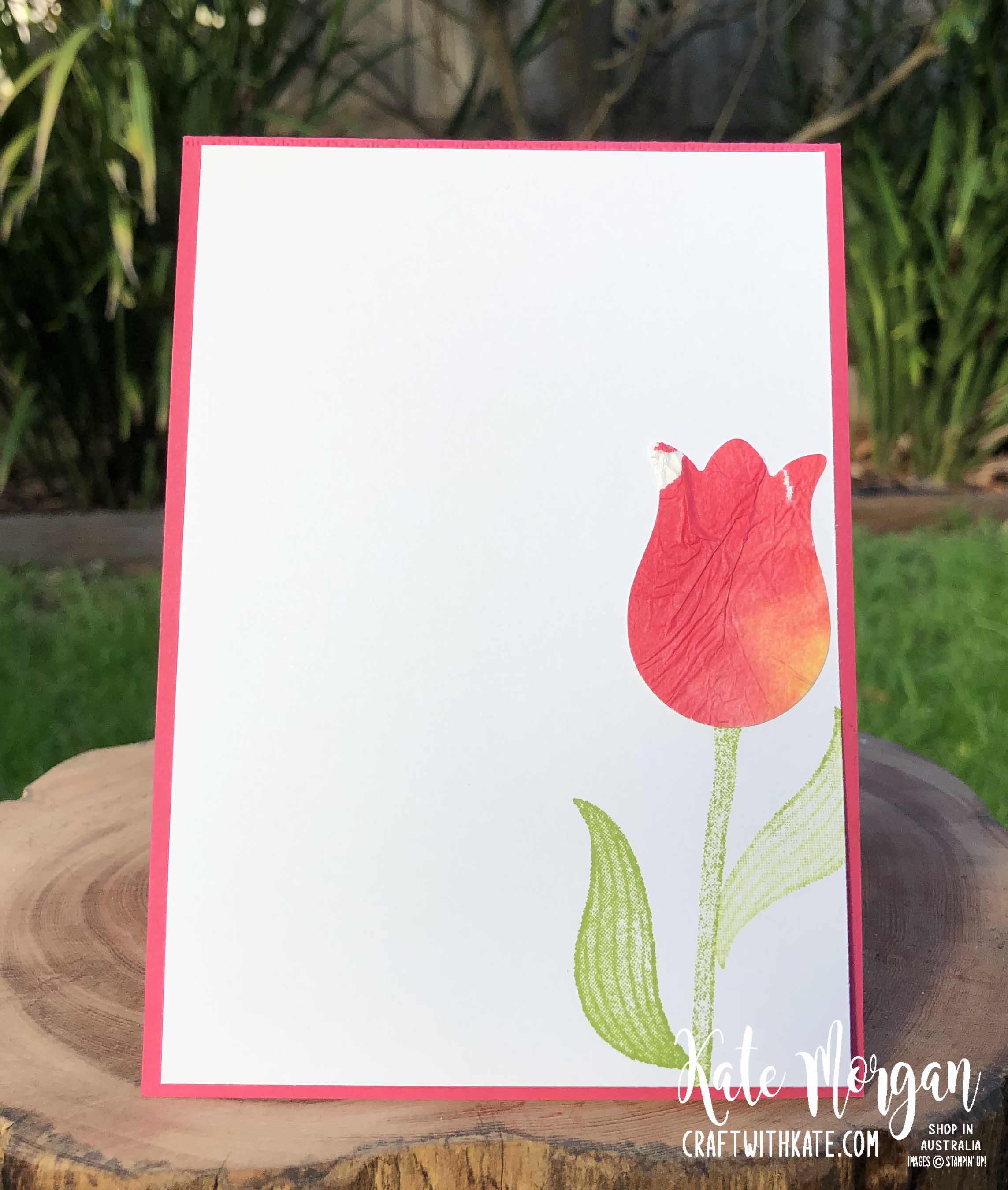 Timeless Tulips Tissue Paper Watercolour Technique by Kate Morgan Stampin Up Australia 2020 inside
