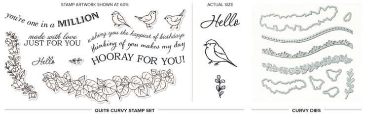 Quite Curvy & Curvy Dies