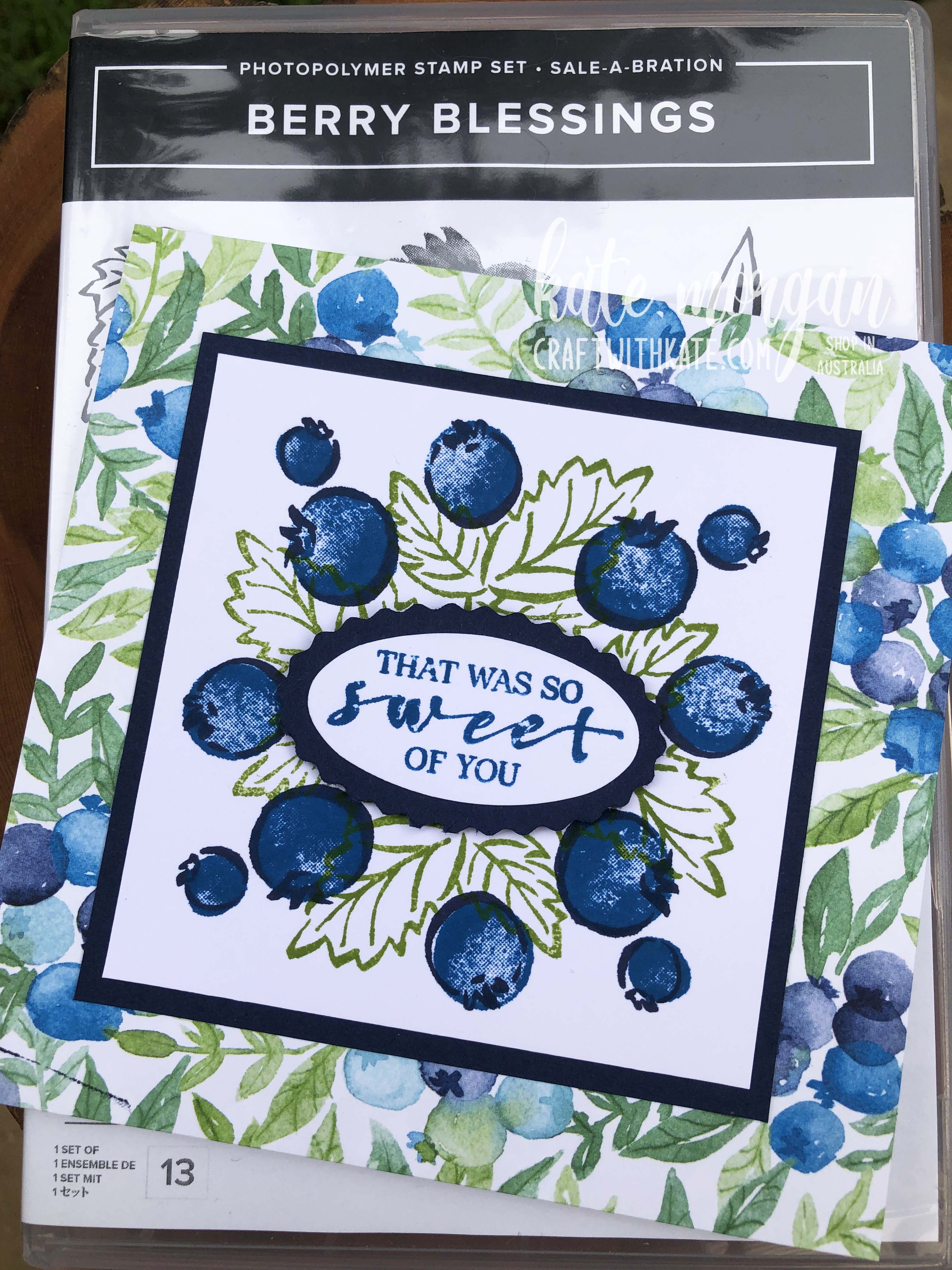 Berry Blessings Saleabration 2021 by Kate Morgan, Stampin Up Australia case