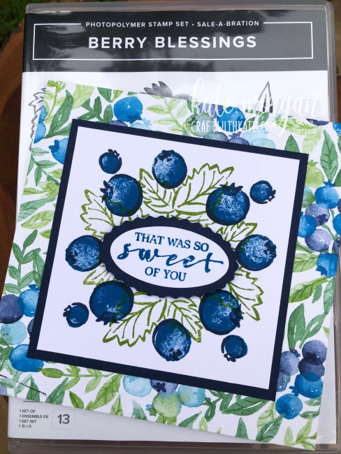 Berry Blessings Saleabration 2021 by Kate Morgan, Stampin Up Australia case