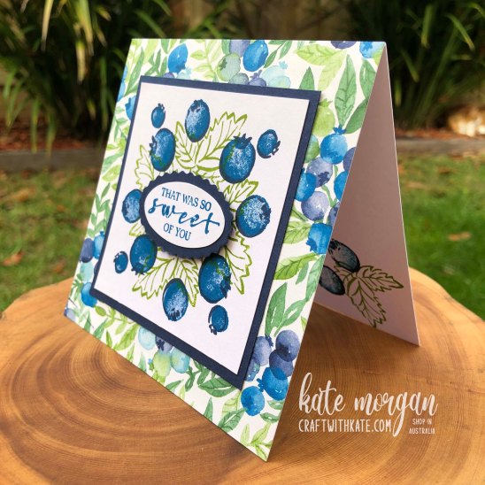 Berry Blessings Saleabration 2021 by Kate Morgan, Stampin Up Australia side