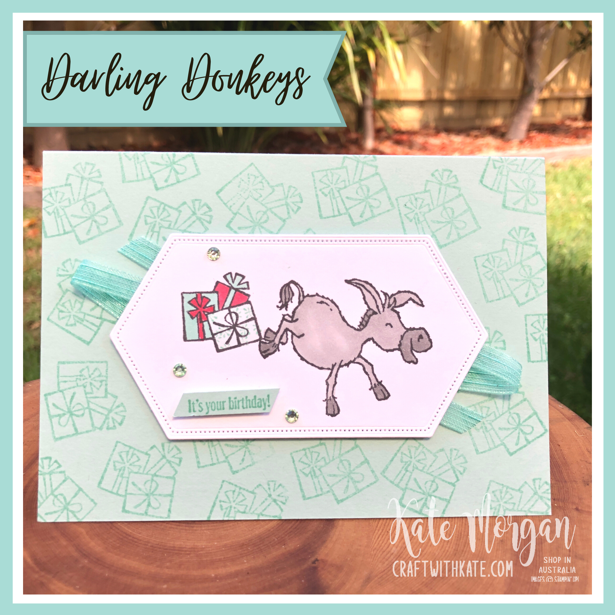 Darling Donkeys Birthday card for Pool Party Colour Creations Showcase by Kate Morgan, Stampin Up Australia 2021