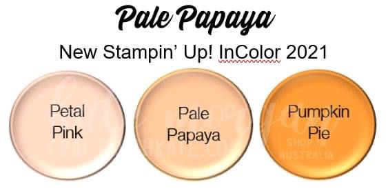 Pale Papaya 2021-2023 InColor Stampin Up