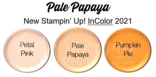 Pale Papaya 2021-2023 InColor Stampin Up