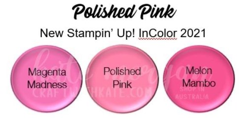 Polished Pink 2021-2023 InColor Stampin Up