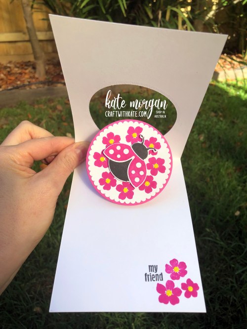 Hello Ladybug Fancy Fold card by Kate Morgan Stampin Up Australia 2022.
