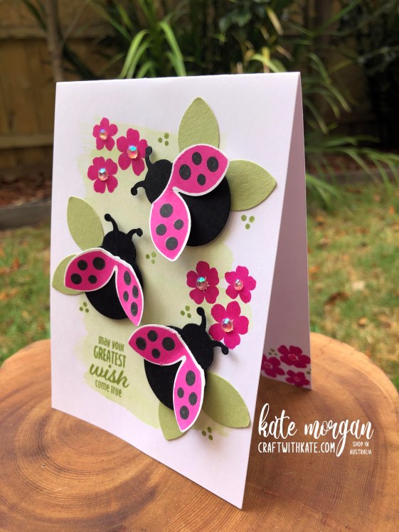 Hello Ladybug Pop Up card by Kate Morgan, Stampin Up Australia 2022 side