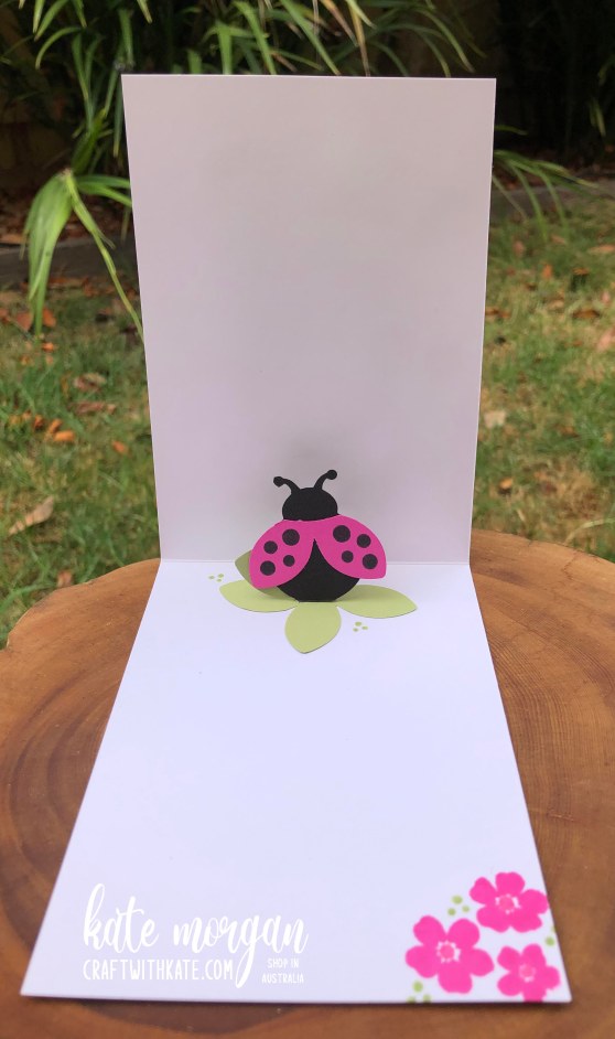 Hello Ladybug Pop Up card by Kate Morgan, Stampin Up Australia 2022