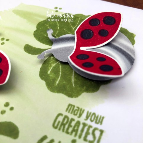 Hello Ladybug Watercolour wash Card by Kate Morgan, Stampin Up Australia 2022 close up