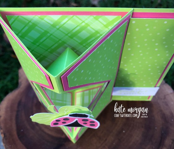 Faceted Diamond Vertical Easel card for CCBH Parakeet Party using Hello Ladybug by Kate Morgan, Stampin Up Australia 2022 top
