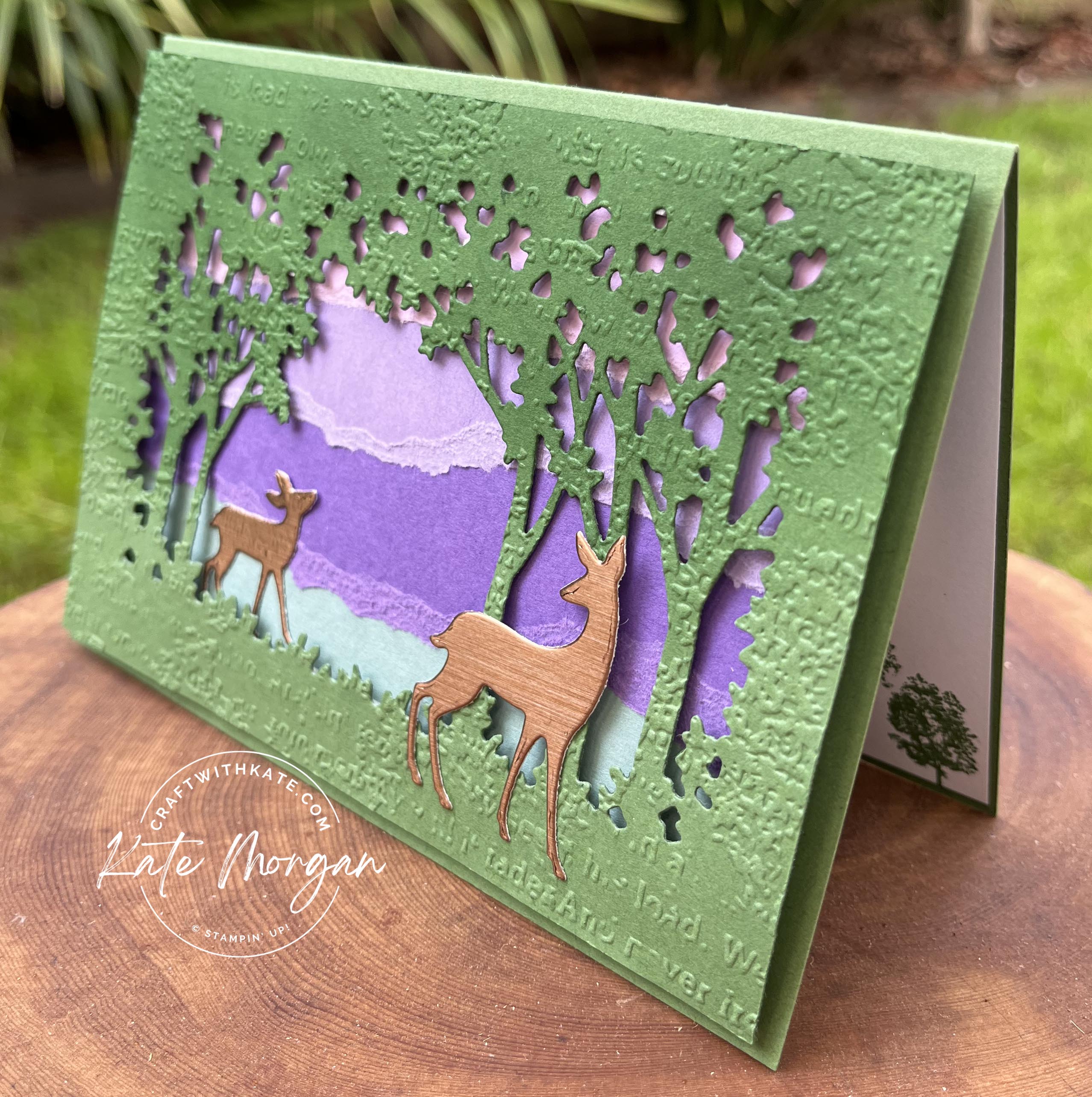 Grassy Grove with Torn Background card by Kate Morgan, Stampin Up Australia 2022 side